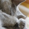 20090615_1336.jpg