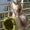 20090823_059.jpg