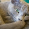 M_20090625_172.jpg