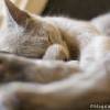 M_20090625_179.jpg