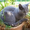 M_20090704_216.jpg