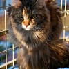 m_20110304_043