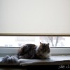 m_20140123_026