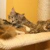 20081217_023.jpg