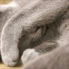 20081224_004.jpg