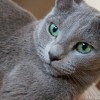M_20100721_042