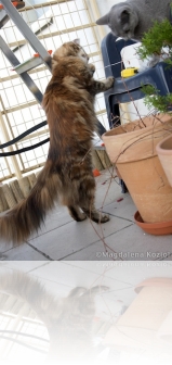 20090415_164.jpg