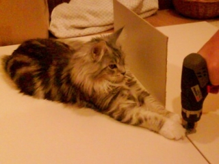 vaiper_w_szafie2_m.jpg
