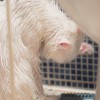 m_20120711_025