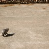 20081013_025.jpg