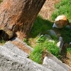 20081013_026.jpg