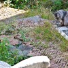 20081013_066.jpg