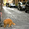 20081013_399.jpg