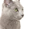 20080526_038.jpg