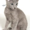 20080526_046.jpg