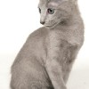 20080526_097.jpg