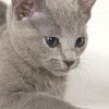 20080526_172.jpg