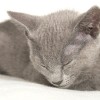 20080526_187.jpg