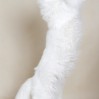 20081029_611.jpg