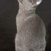 20080705_054.jpg