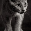 20080705_067.jpg