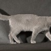 20080705_071.jpg
