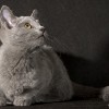 20080705_077.jpg