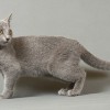 20080705_092.jpg