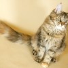 20081221_047.jpg