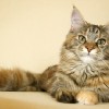 20081221_062.jpg