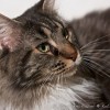 m_20111214_044